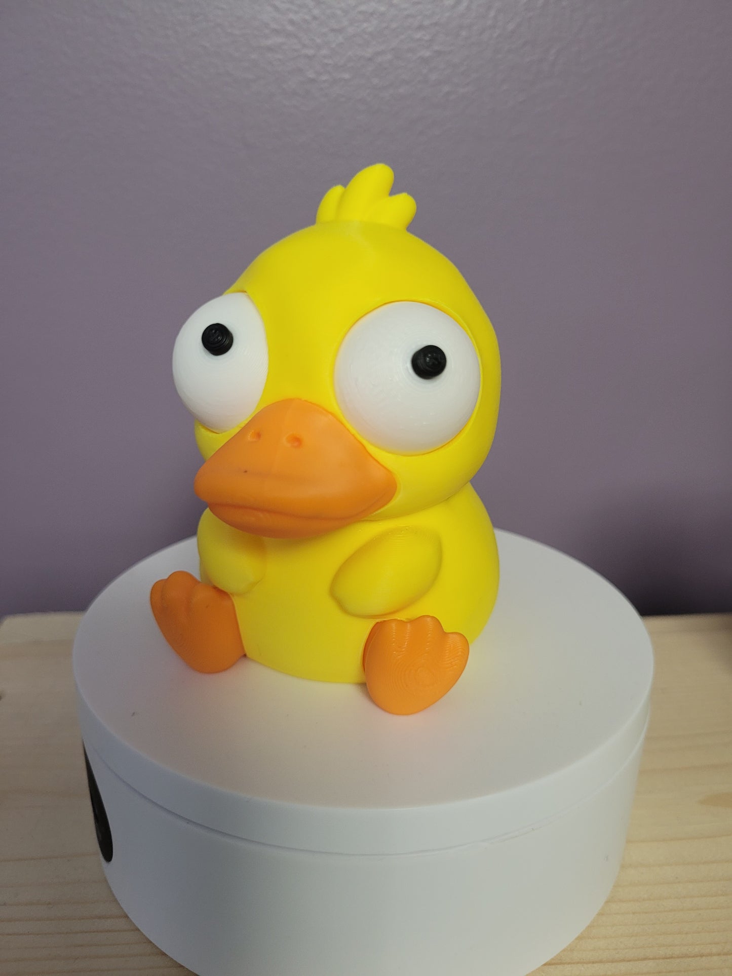 Duck for Ducky