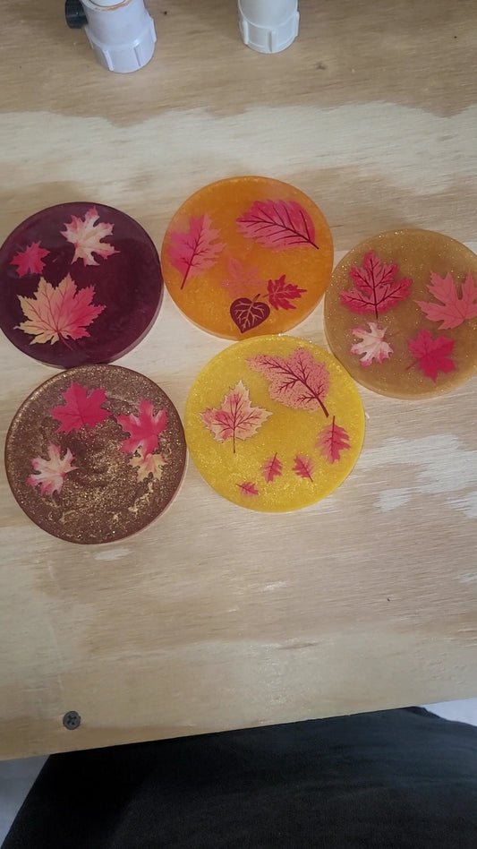 Fall Coaster Set